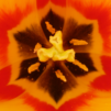 Logo Unterricht Chi-Gong